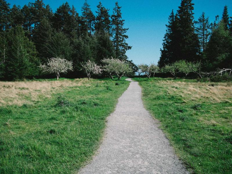 声音捕手<br>sybmuzg.cn 雨打芭蕉声